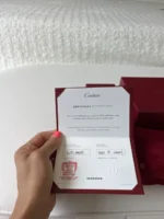 Bracelet Love Cartier - Or blanc 18 carats - Taille 16 - Coffret et tournevis – Image 4
