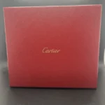 Montre homme Cartier Santos Dumont W2SA0011, cadran argenté, boîte et papiers – Image 17